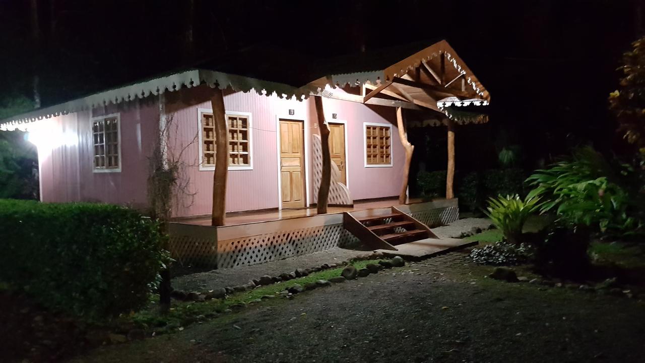Ciudad Perdida Ecolodge Cahuita Kültér fotó
